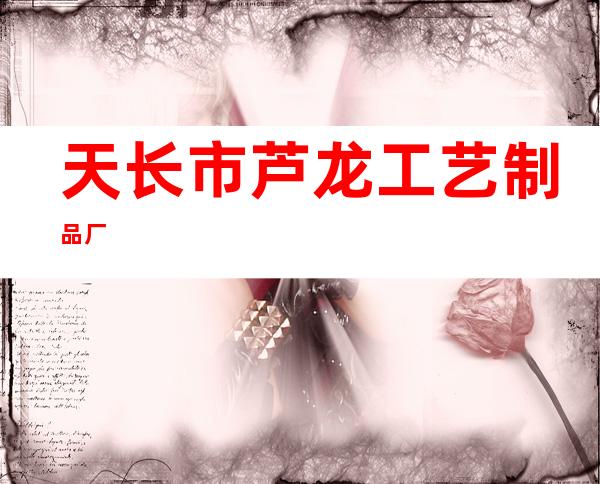 天长市芦龙工艺制品厂